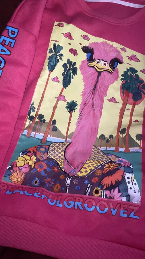 Ostrich Groove, Peaceful Groovez sweatshirt. 100% cotton.