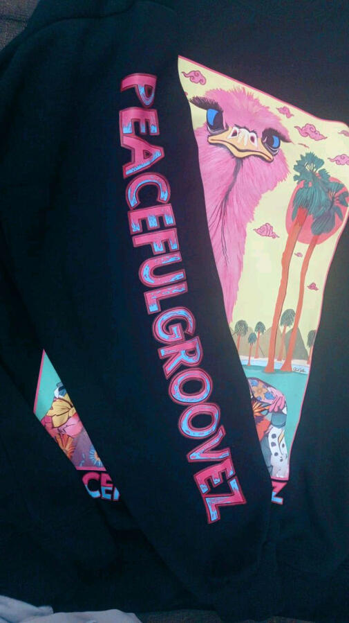 Ostrich Groovez, black sweatshirt. 100% cotton.