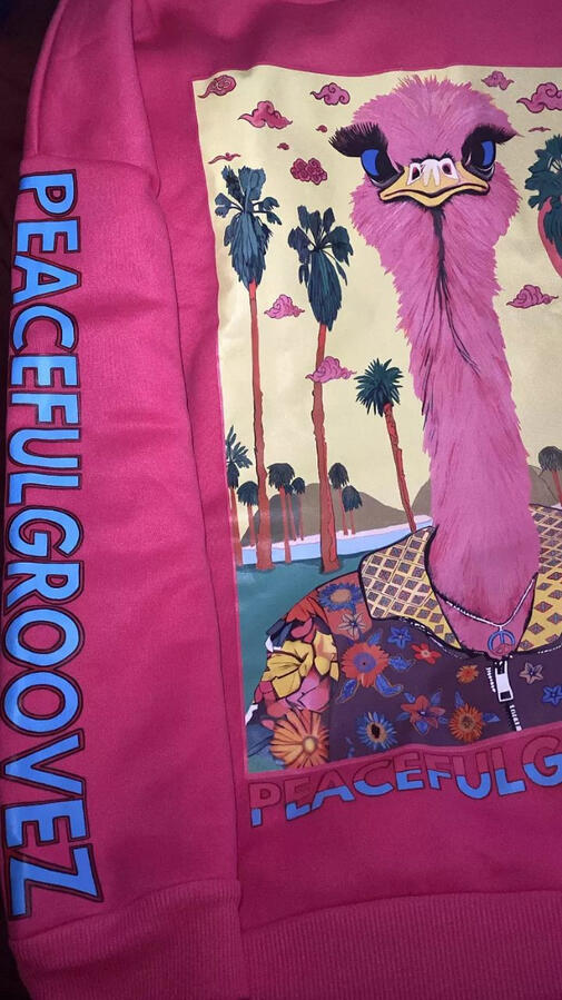Ostrich Groove, Peaceful Groovez sweatshirt (sleeve detail). 100% cotton.